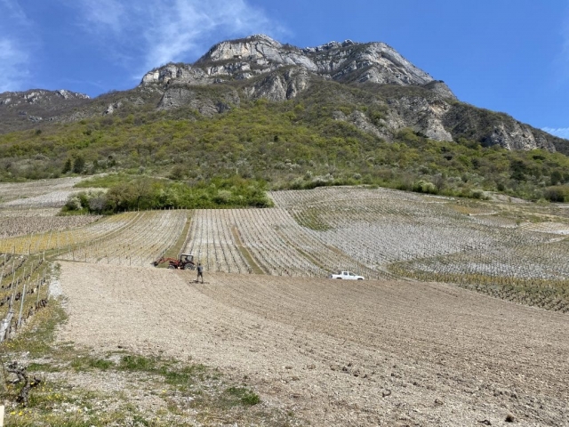 SAVOYARDE PLANTATION PETITE ARVINE CHIGNIN COTEAU DE TORMERY