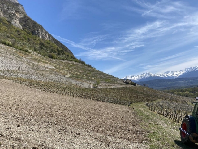 tormery-chignin-quenard-vigne-arvine