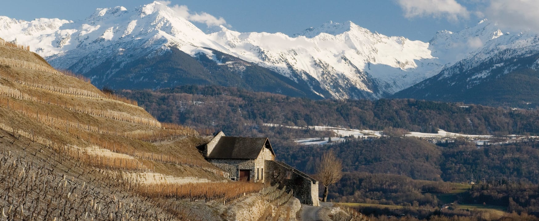 vigneron-savoie-chignin