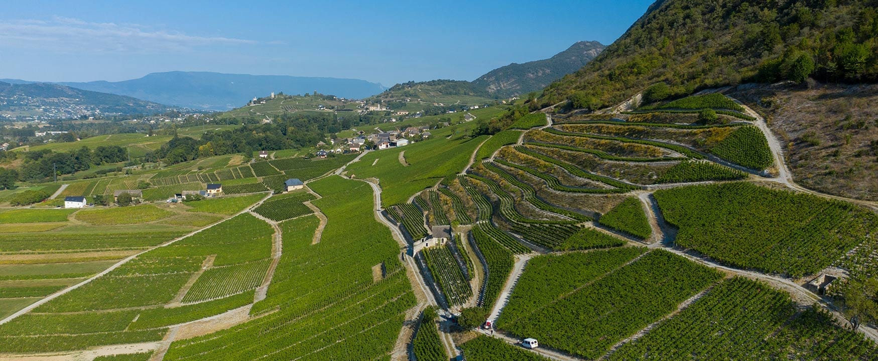 vignoble savoie